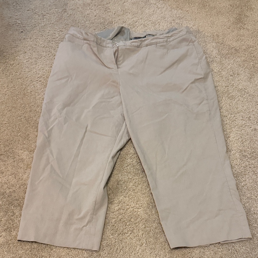 Lane Bryant Beige Trousers